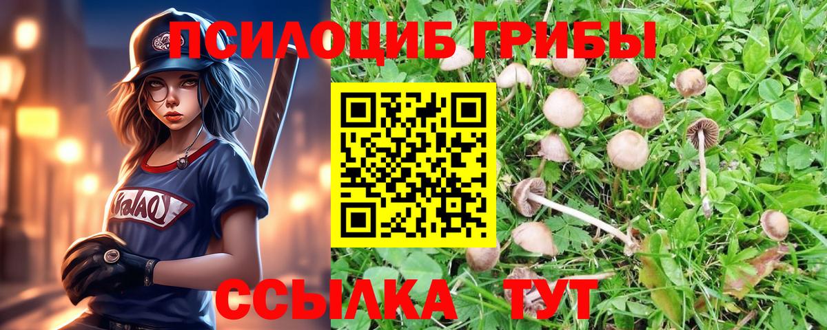 Галлюциногенные грибы Cubensis Владивосток